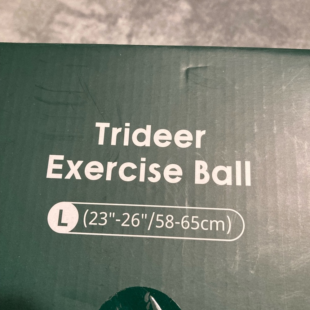 NWTS Exercise Ball - Picture 2 of 5